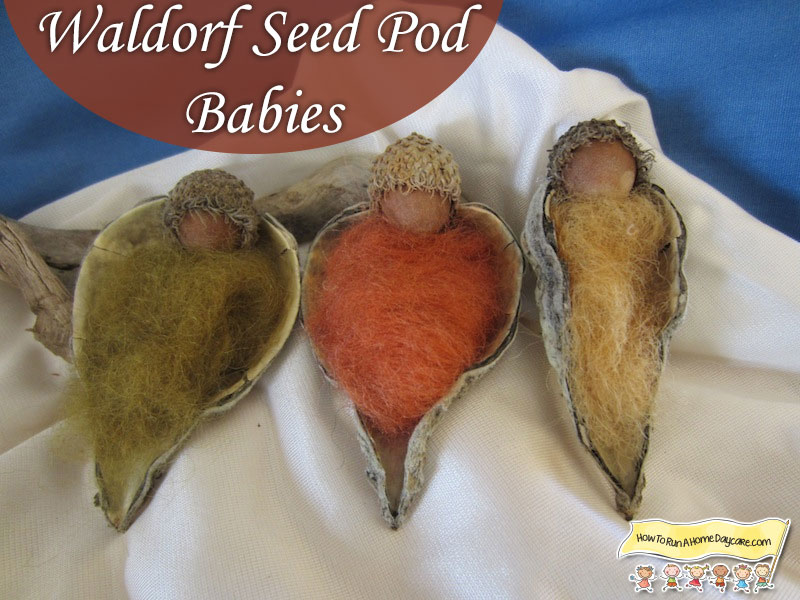waldorf-seed-pod-babies